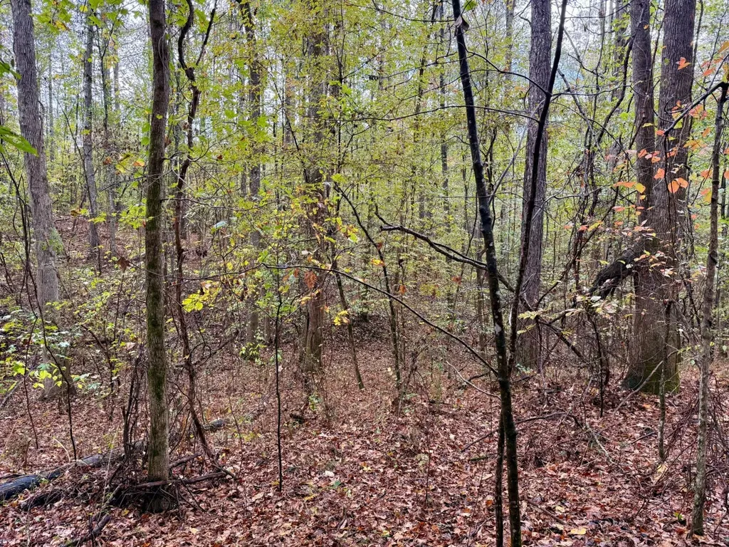 0 Scott Road Sipsey AL 35584