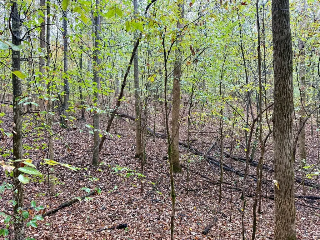 0 Scott Road Sipsey AL 35584