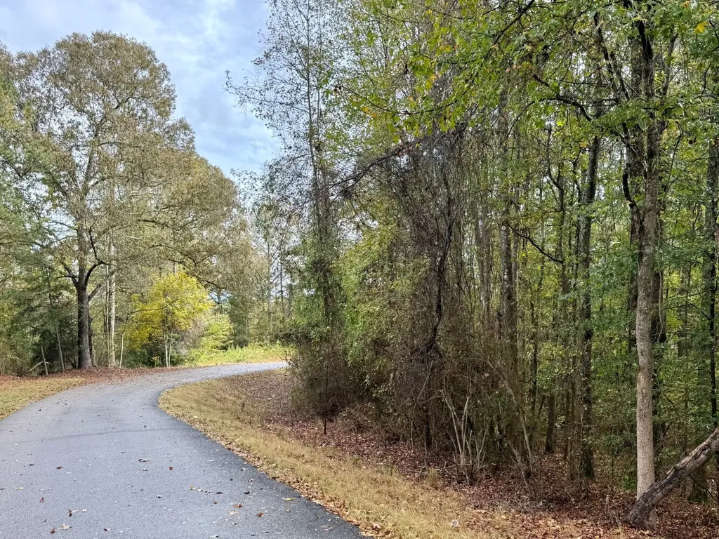 0 Scott Road Sipsey AL 35584