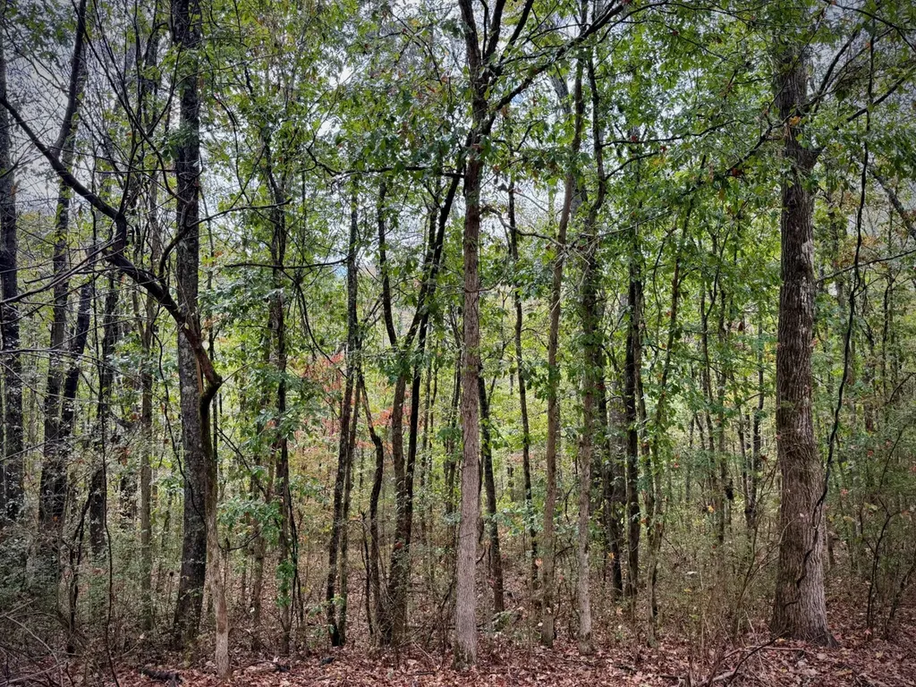 0 Scott Road Sipsey AL 35584