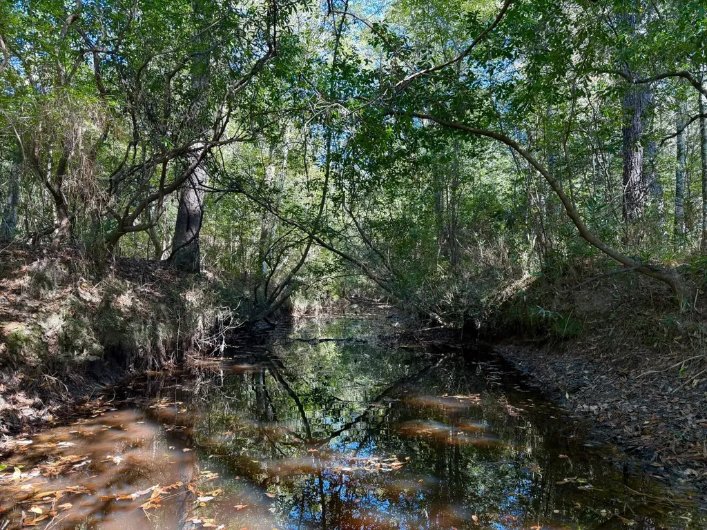 0 Highway 45 Tract Fruitdale AL 36539