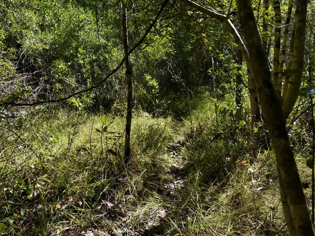 0 Highway 45 Tract Fruitdale AL 36539