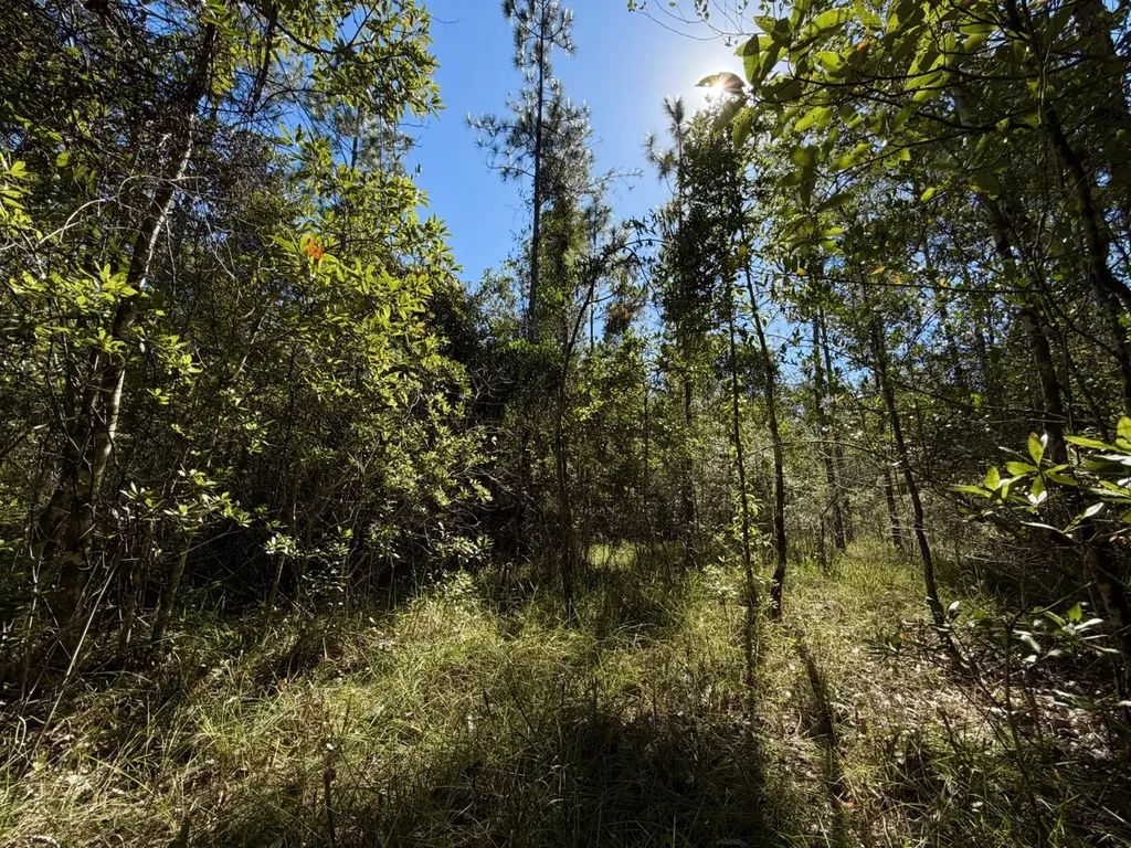 0 Highway 45 Tract Fruitdale AL 36539