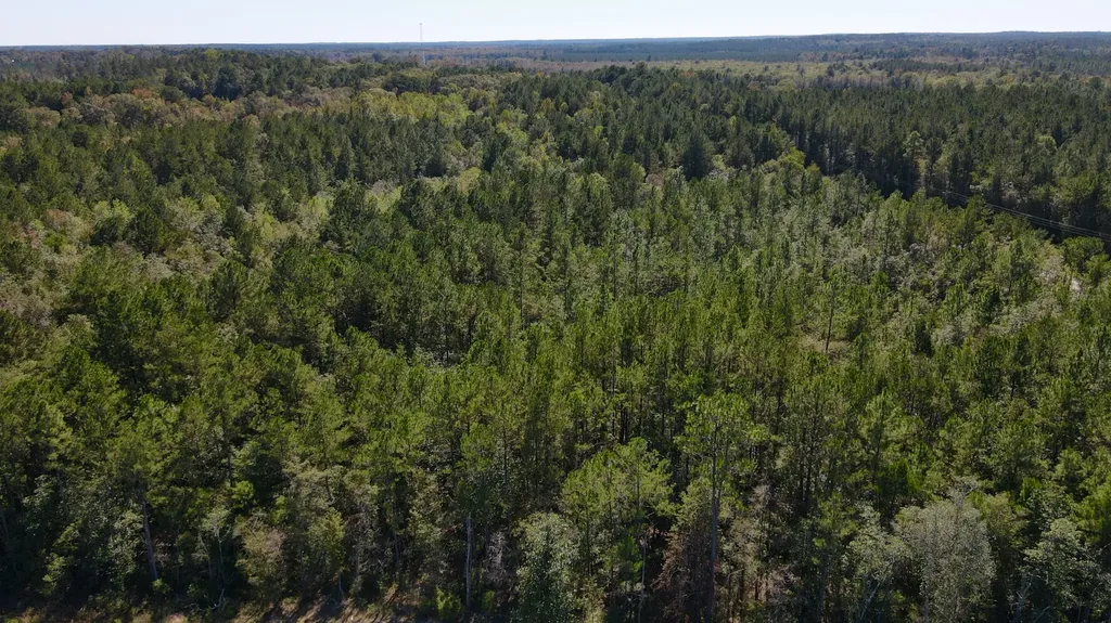 0 Highway 45 Tract Fruitdale AL 36539