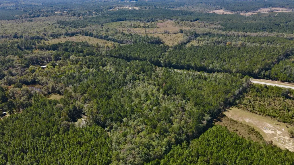 0 Highway 45 Tract Fruitdale AL 36539