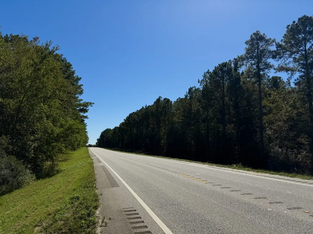 0 Highway 45 Tract Fruitdale AL 36539