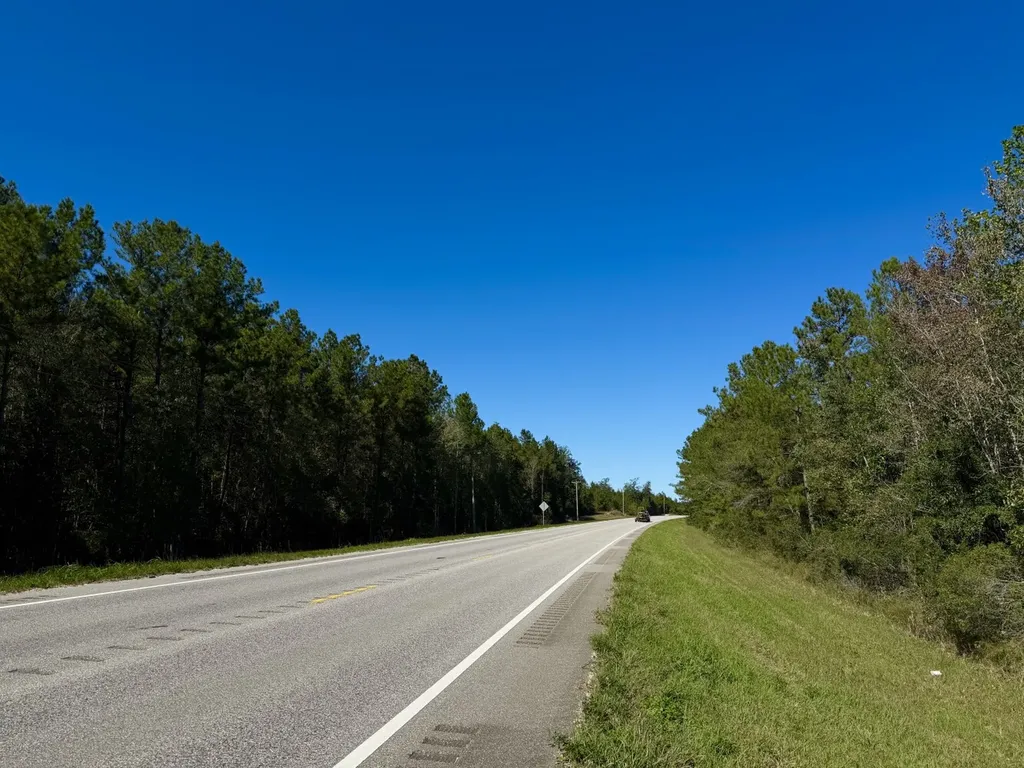 0 Highway 45 Tract Fruitdale AL 36539