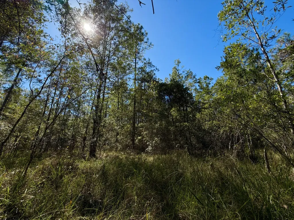 0 Highway 45 Tract Fruitdale AL 36539