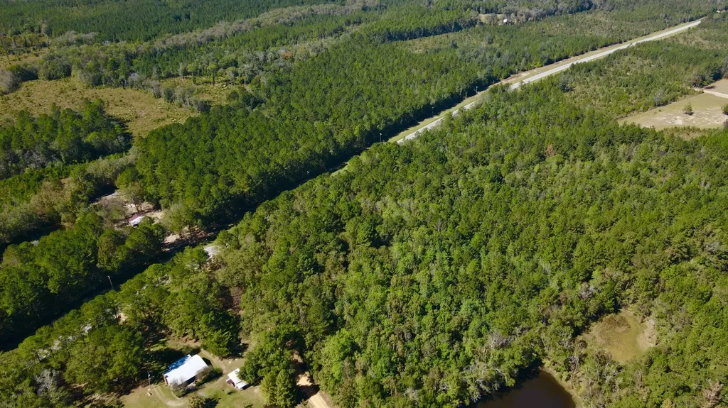 0 Highway 45 Tract Fruitdale AL 36539