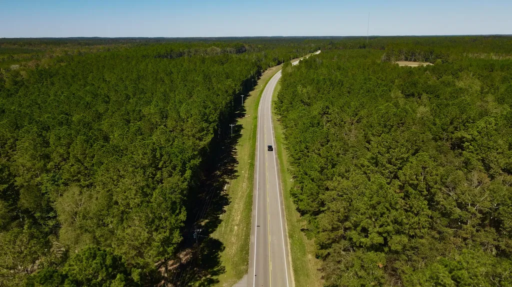 0 Highway 45 Tract Fruitdale AL 36539