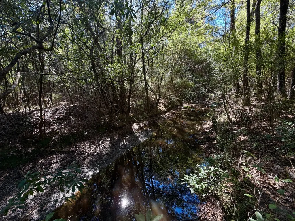 0 Highway 45 Tract Fruitdale AL 36539