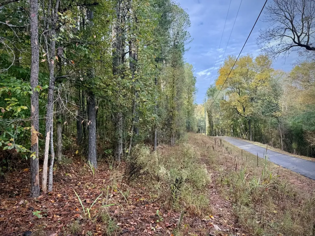 00 Scott Road Sipsey AL 35584