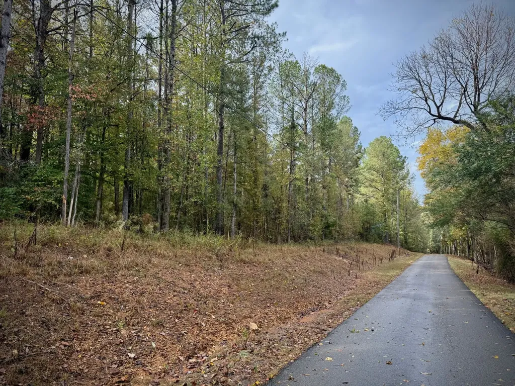 00 Scott Road Sipsey AL 35584