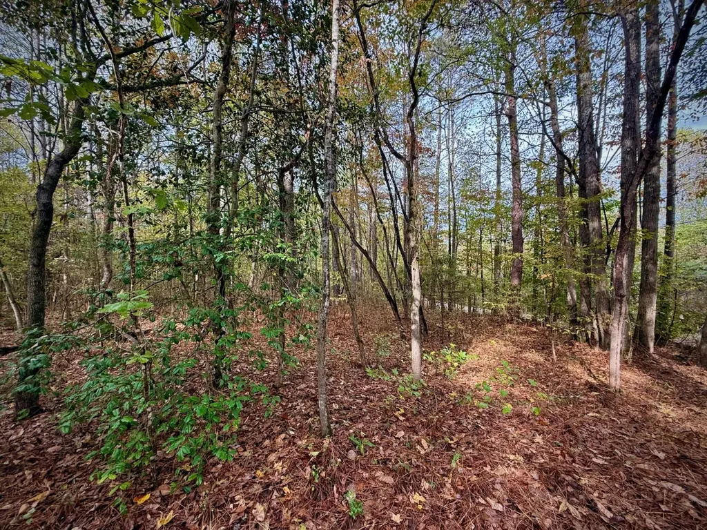 00 Scott Road Sipsey AL 35584