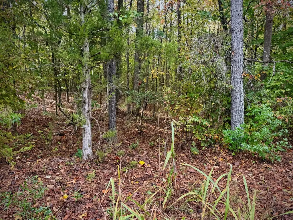 00 Scott Road Sipsey AL 35584