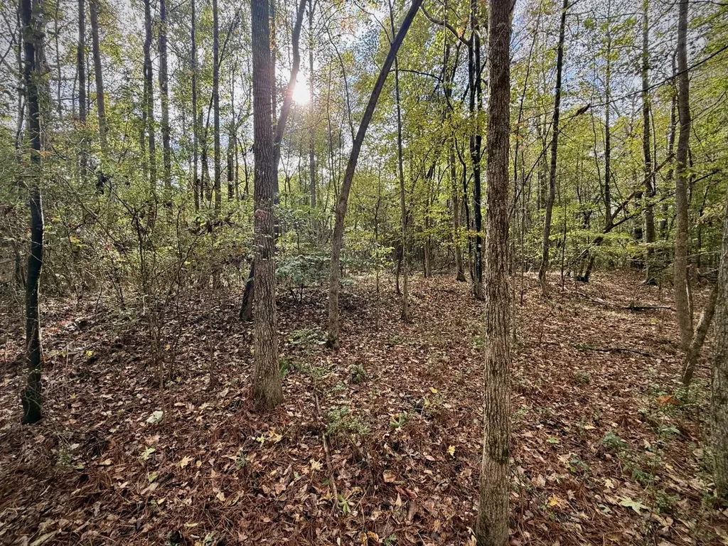 00 Scott Road Sipsey AL 35584