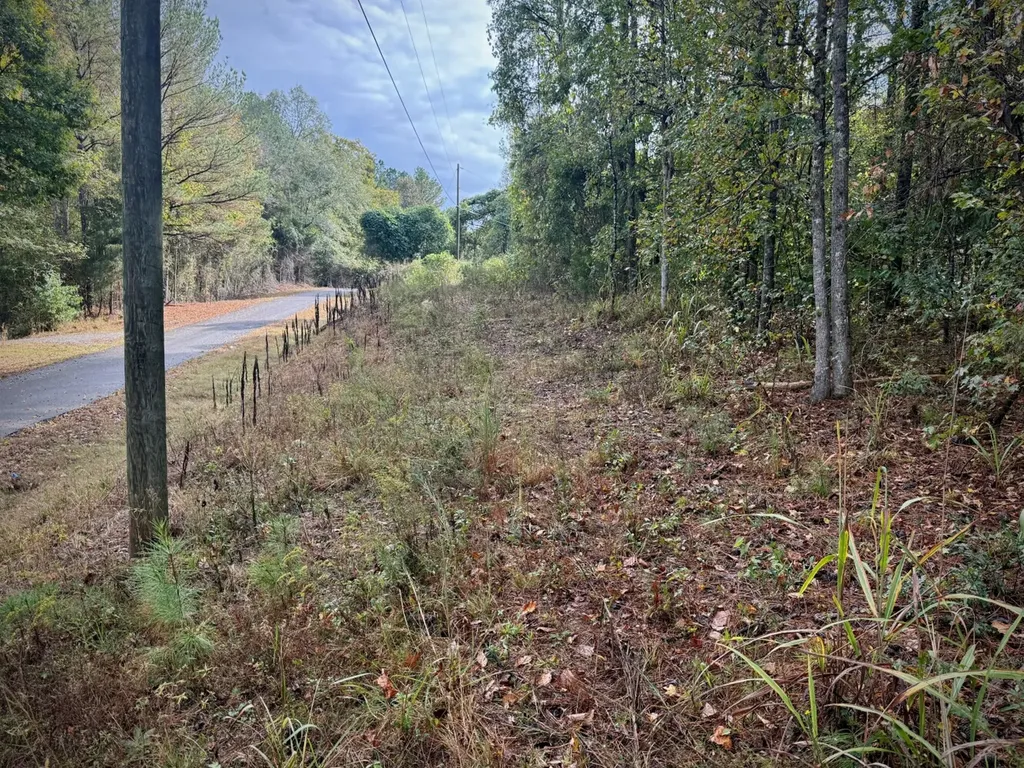 00 Scott Road Sipsey AL 35584