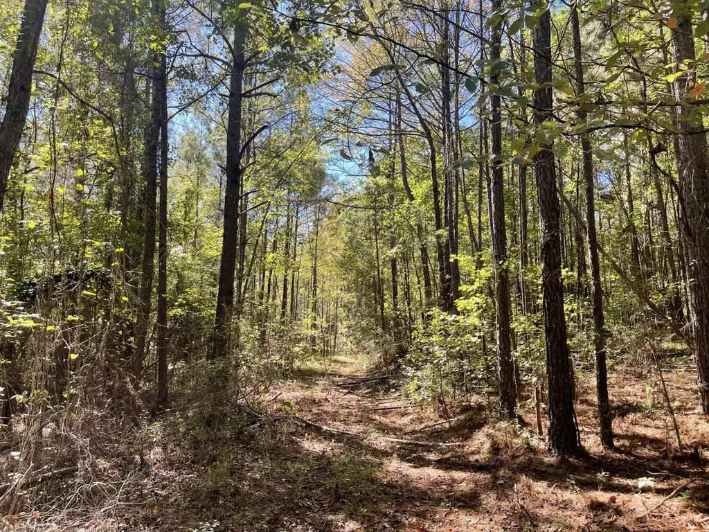 0 County Road 108 Fayette AL 35555