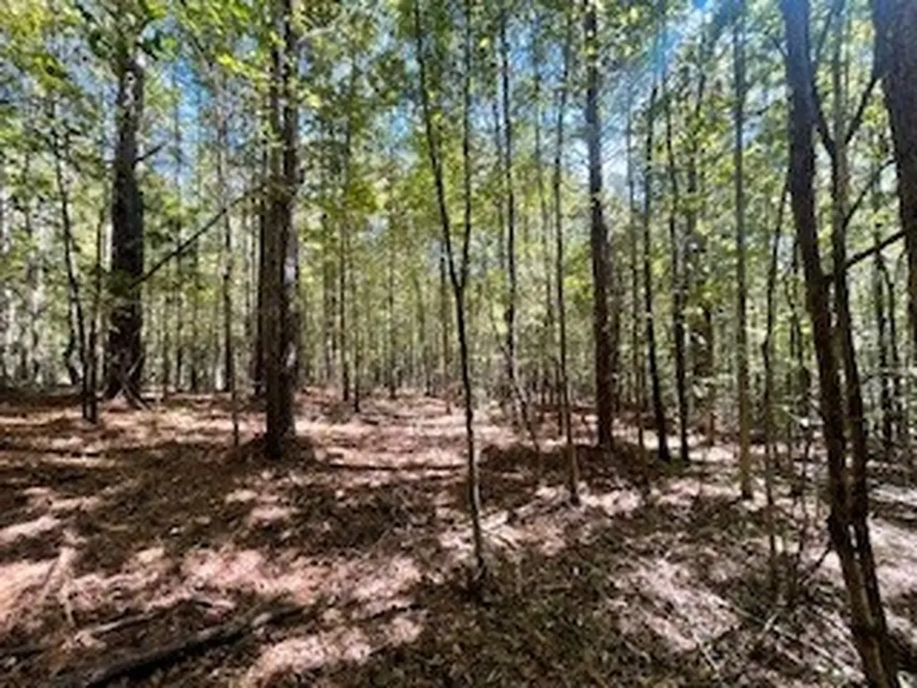 0 County Road 108 Fayette AL 35555