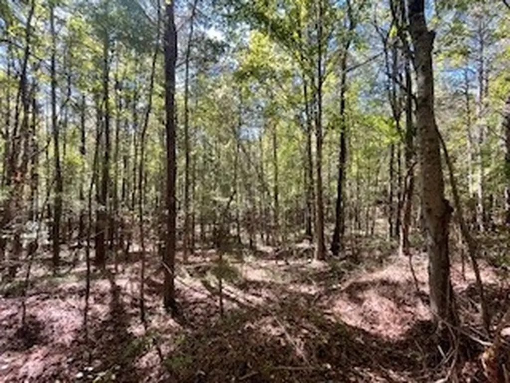 0 County Road 108 Fayette AL 35555