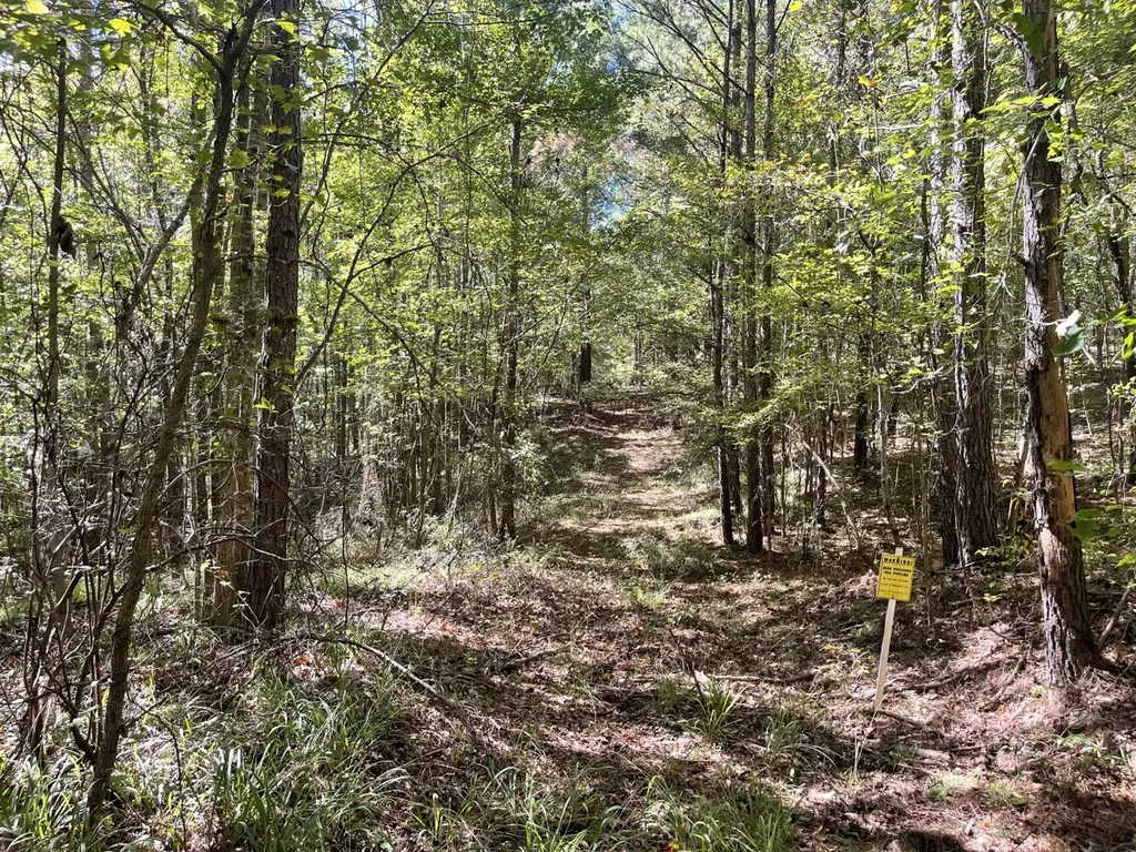 0 County Road 108 Fayette AL 35555