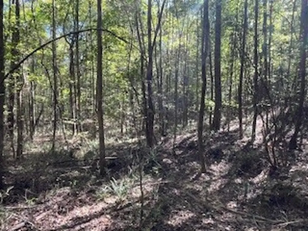 0 County Road 108 Fayette AL 35555