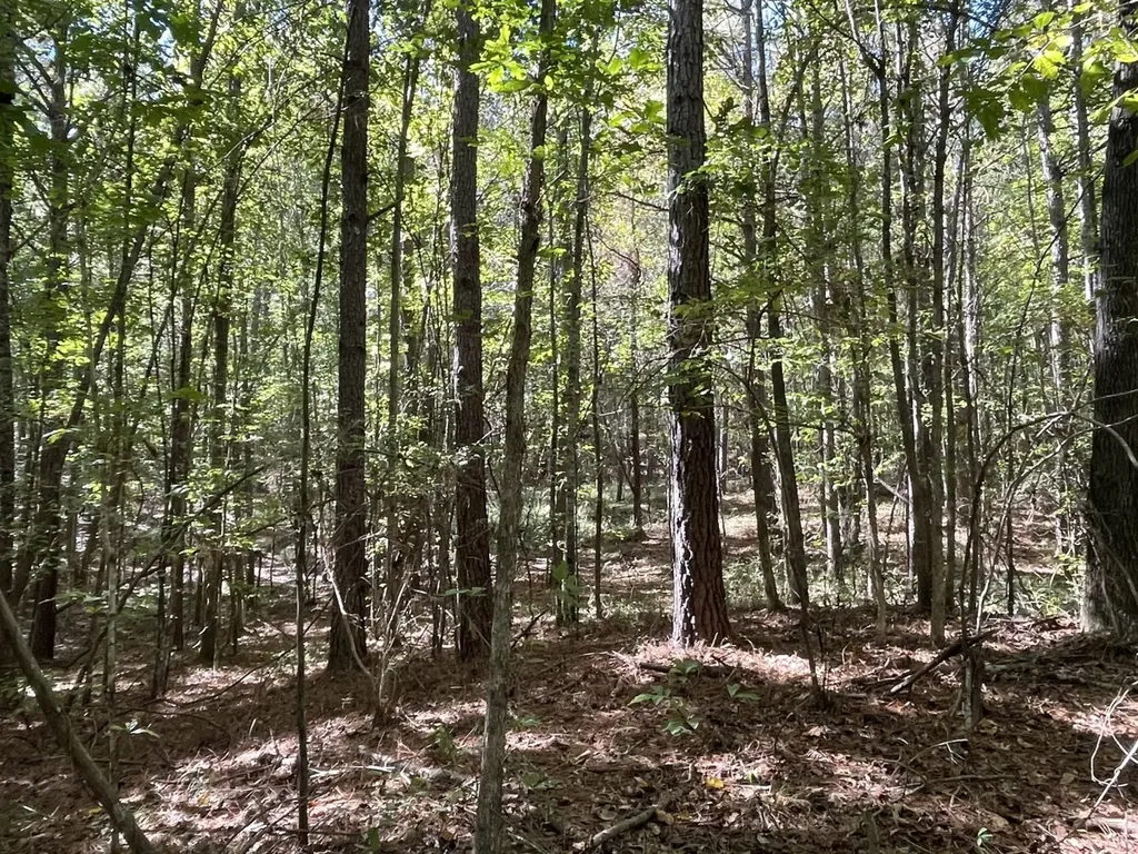 0 County Road 108 Fayette AL 35555