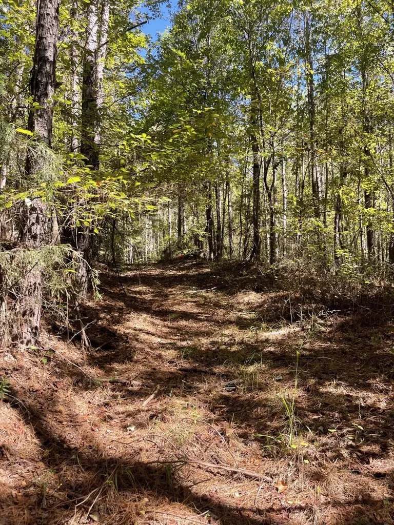 0 County Road 108 Fayette AL 35555