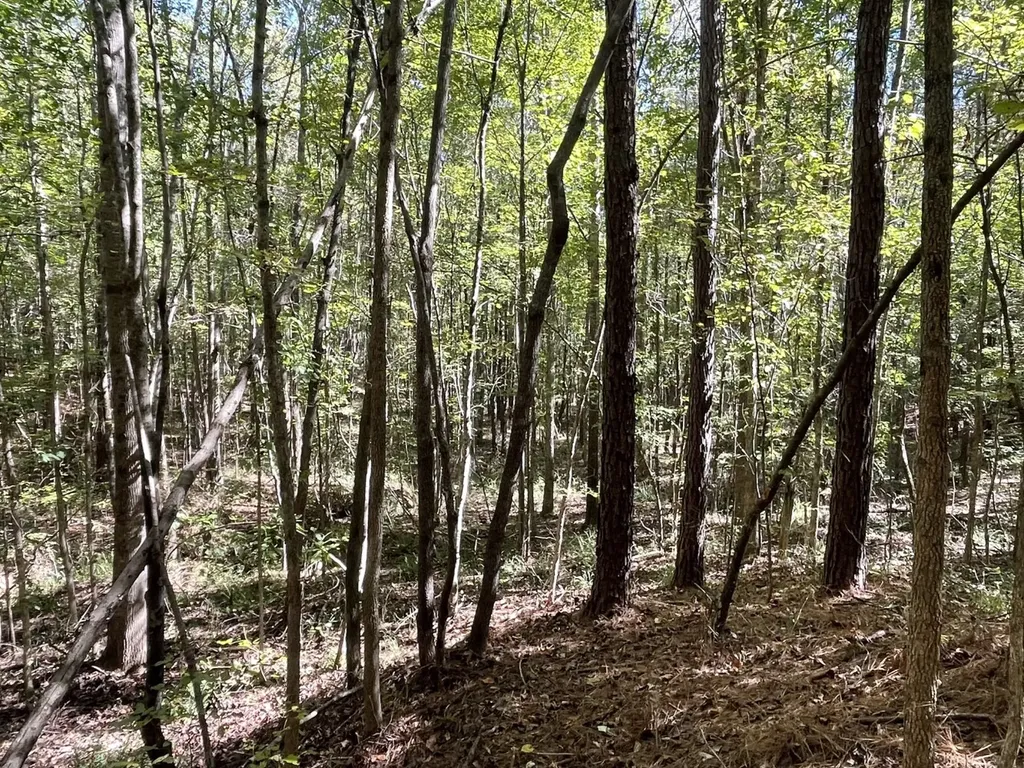 0 County Road 108 Fayette AL 35555