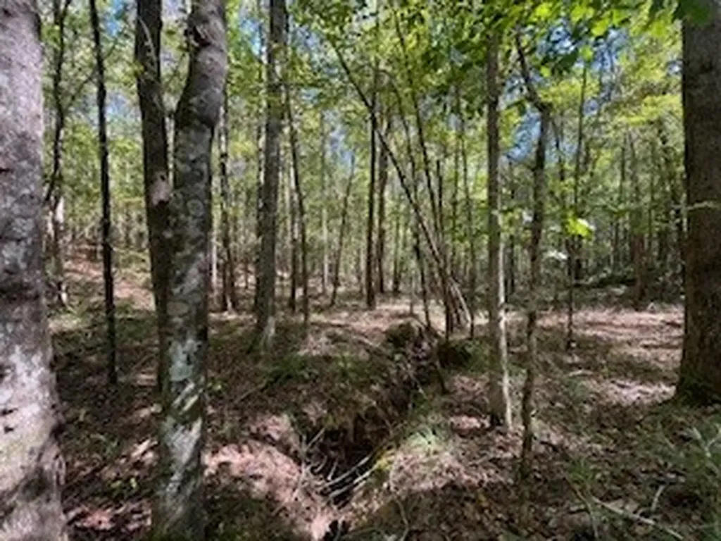 0 County Road 108 Fayette AL 35555