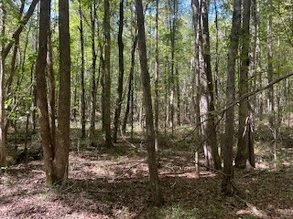 0 County Road 108 Fayette AL 35555