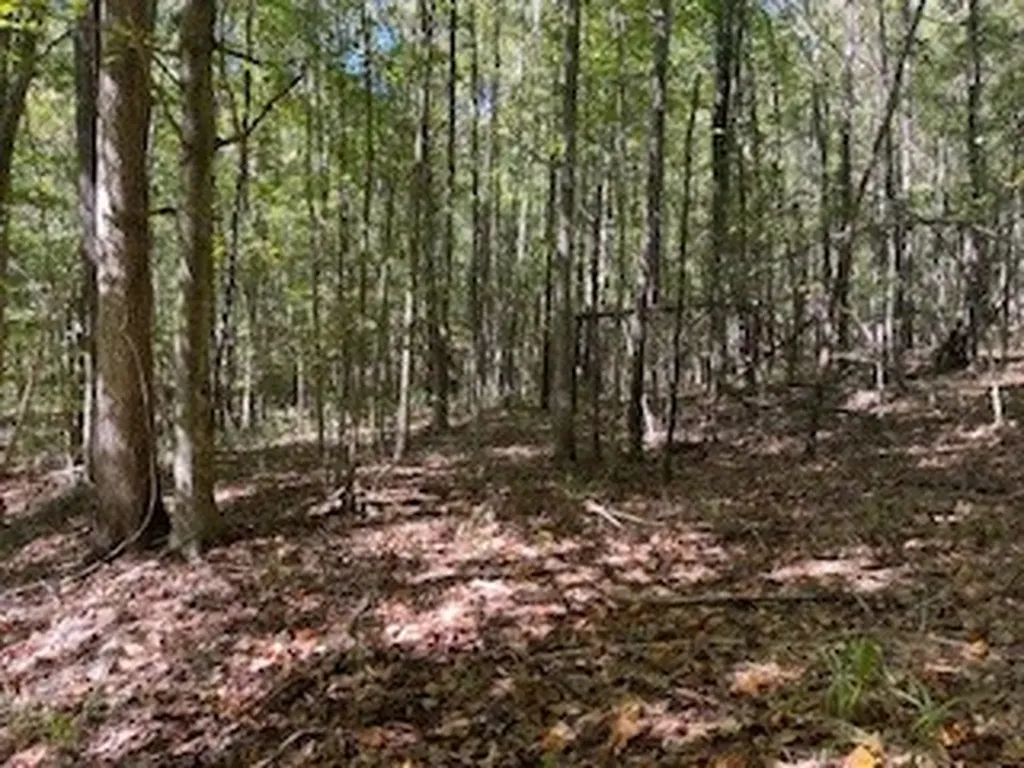 0 County Road 108 Fayette AL 35555