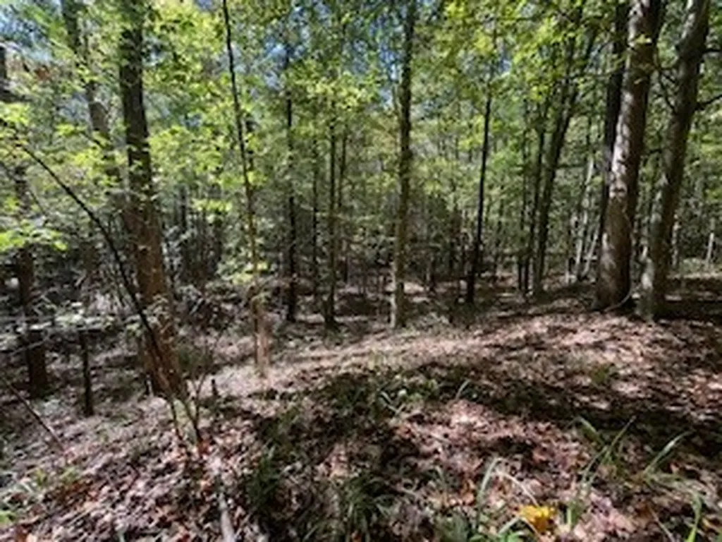 0 County Road 108 Fayette AL 35555