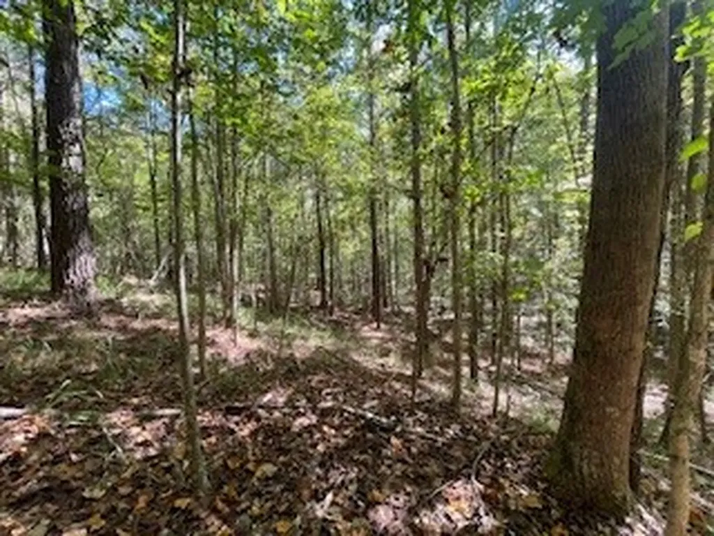 0 County Road 108 Fayette AL 35555