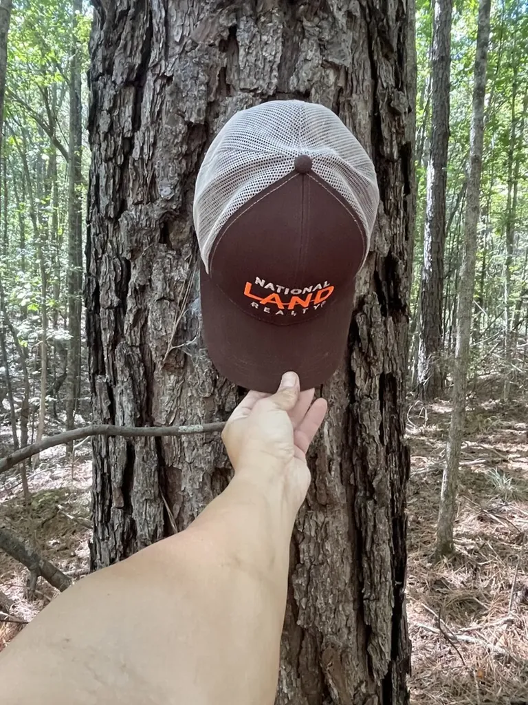 0 County Road 108 Fayette AL 35555