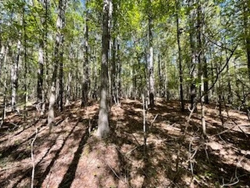 0 County Road 108 Fayette AL 35555