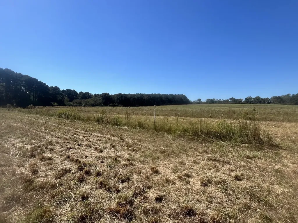 3700 Webb Road Dothan AL 36301