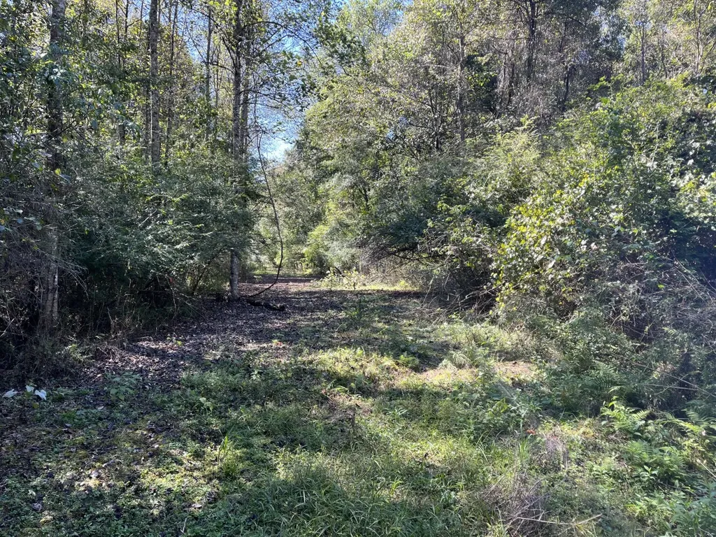 3700 Webb Road Dothan AL 36301