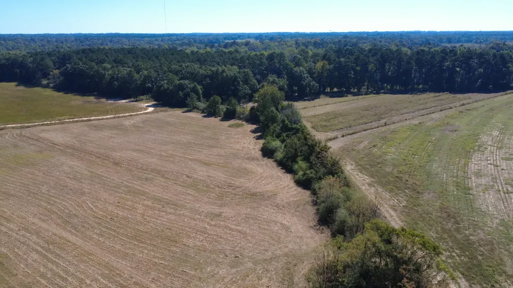 3700 Webb Road Dothan AL 36301