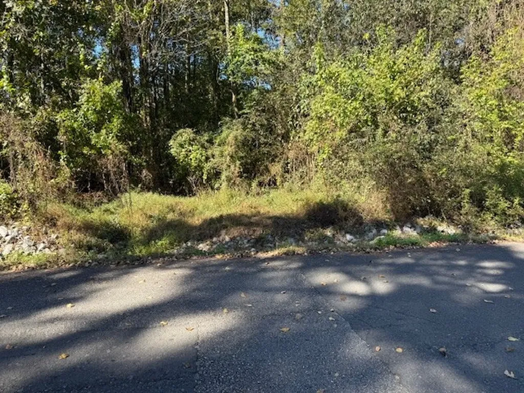 650 Taft Avenue Attalla AL 35954