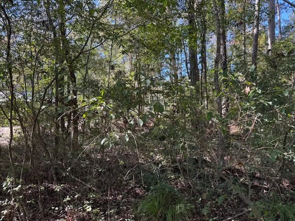 650 Taft Avenue Attalla AL 35954