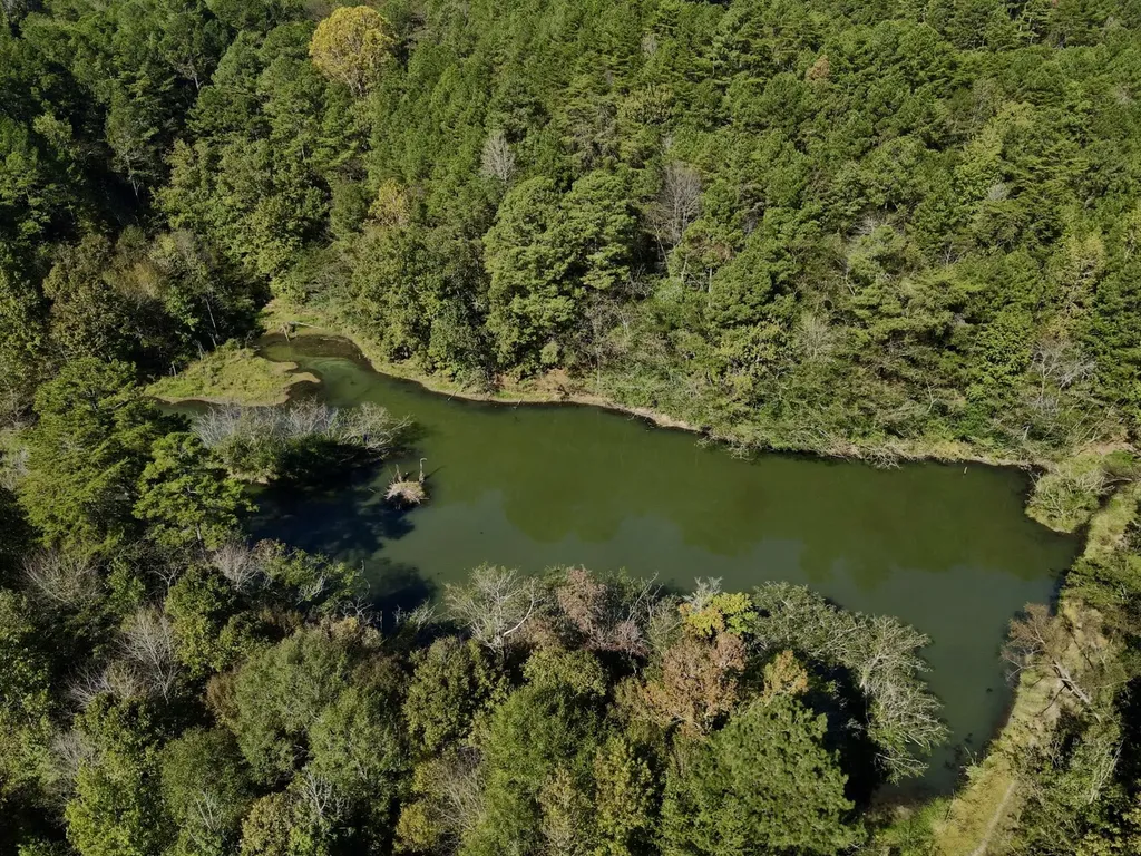 3216 Glovers Bend Road Gardendale AL 35071
