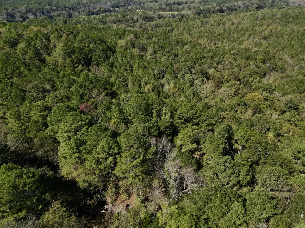 3216 Glovers Bend Road Gardendale AL 35071