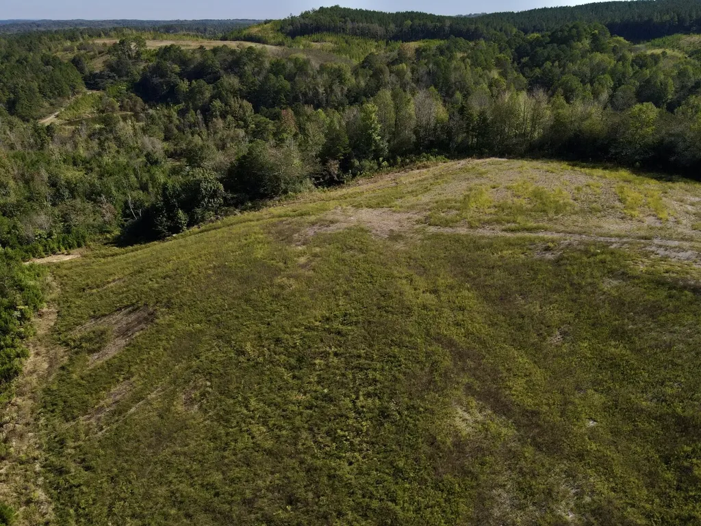 3216 Glovers Bend Road Gardendale AL 35071