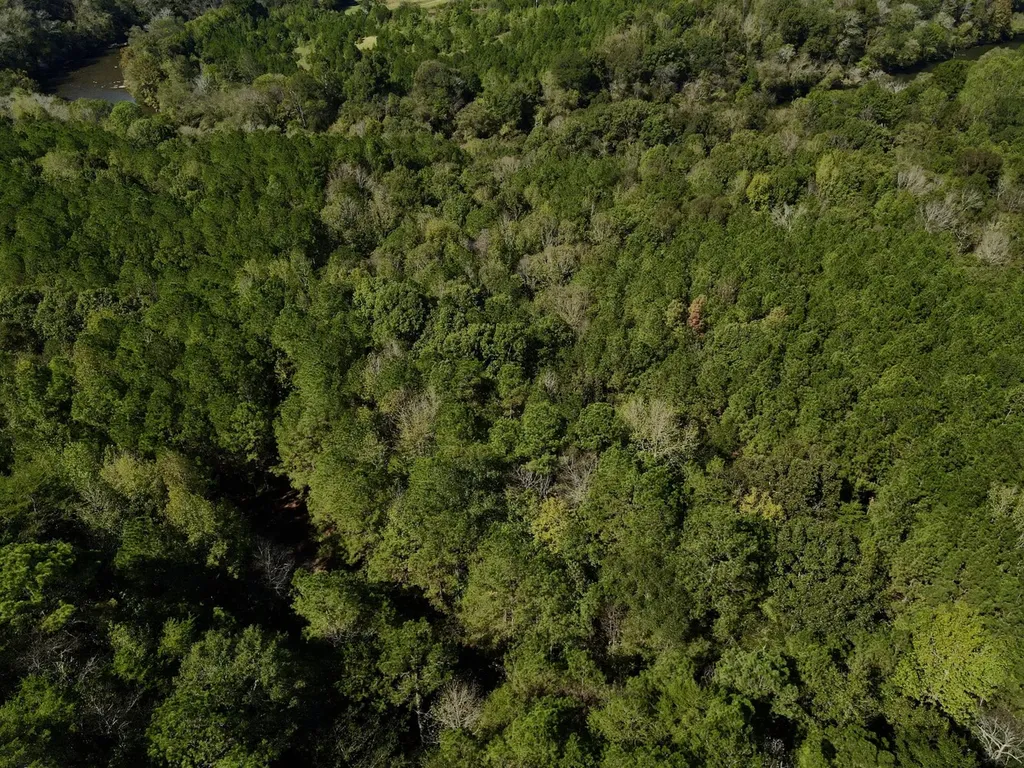 3216 Glovers Bend Road Gardendale AL 35071