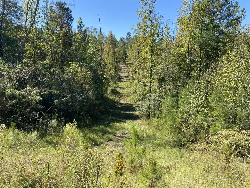 3216 Glovers Bend Road Gardendale AL 35071