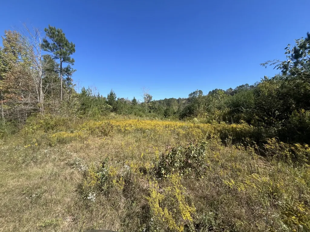 3216 Glovers Bend Road Gardendale AL 35071
