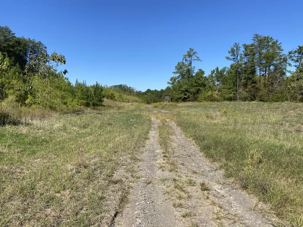 3216 Glovers Bend Road Gardendale AL 35071