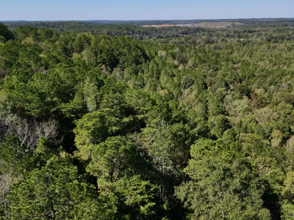 3216 Glovers Bend Road Gardendale AL 35071