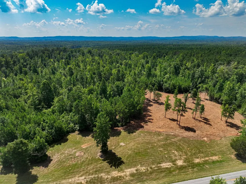 0 Coaling Road Sylacauga AL 35151